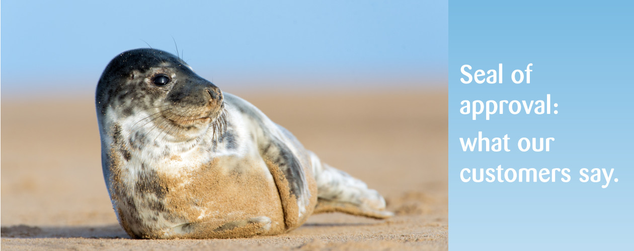 sealhead